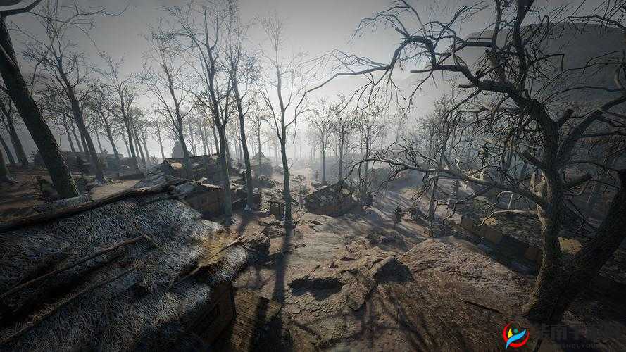 乂乂乂乂乂BB：探索未知的神奇之旅