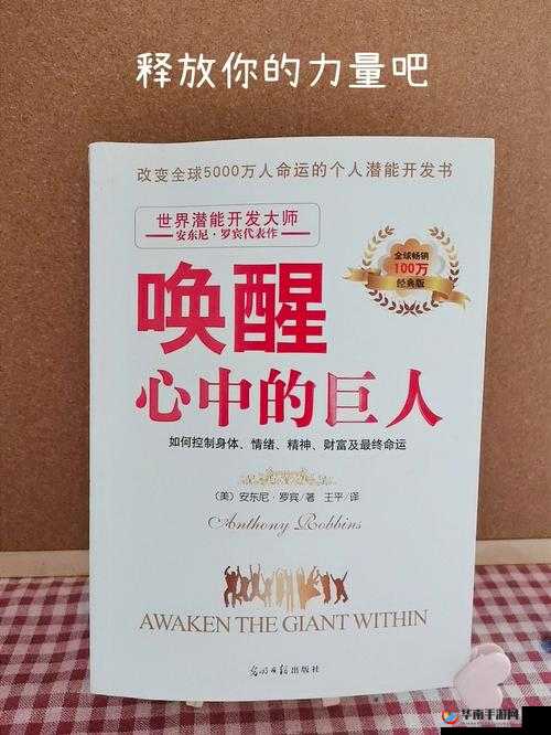 迷茫之光隙 解语赛西传奇：光明背后的挑战解析赛西光隙之路 勇士光语下的心声