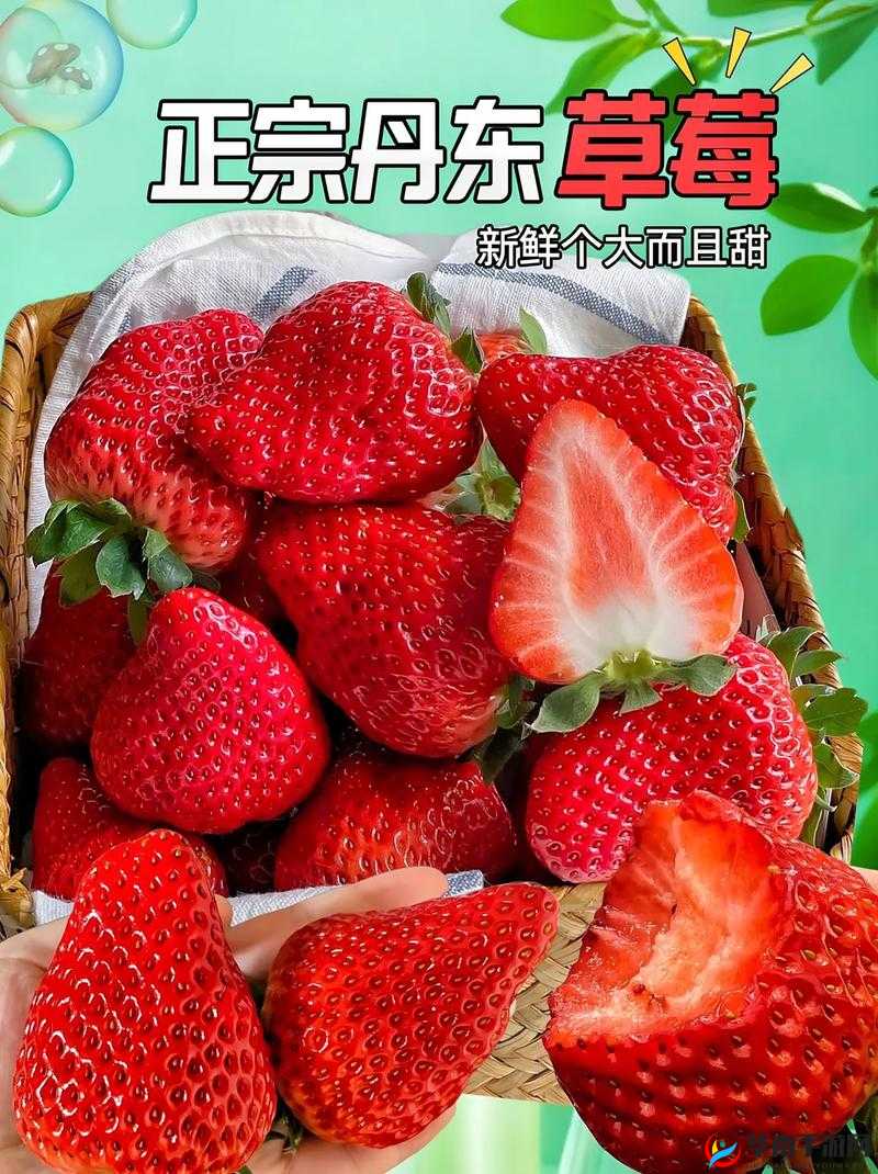 精产国品一二三产区草莓：新鲜美味等你来尝
