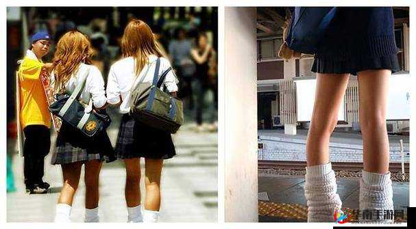 100 日本 XXXXXXXXX15：相关介绍