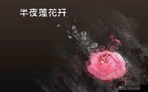 女子半夜莲花开：神秘而独特的现象