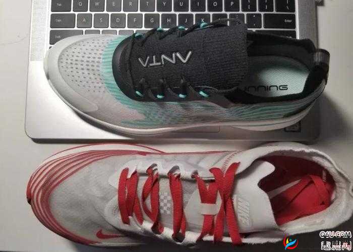 ZOOM 与 OKZOOM 区别解析