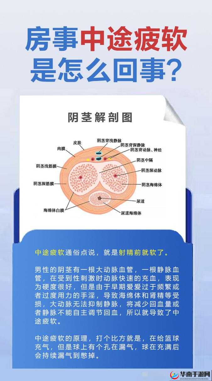 用手过度海绵体受损怎么恢复：专业医生解答