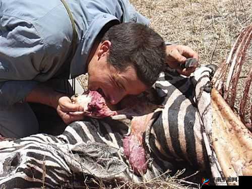 1214 性ㄨㄨㄨㄨ深喉:揭秘不为人知的背后故事