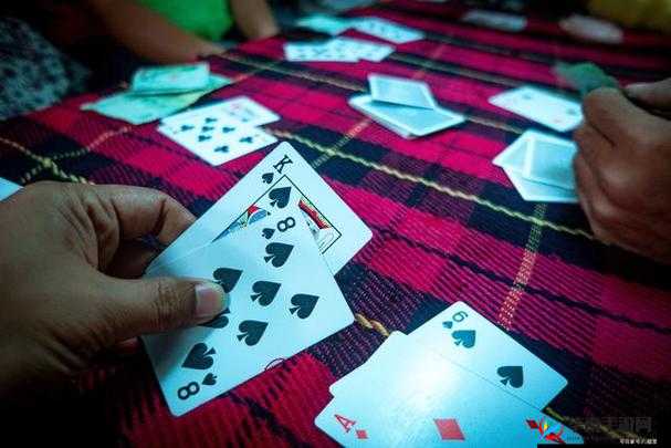 激烈运动打扑克：一项有趣的活动