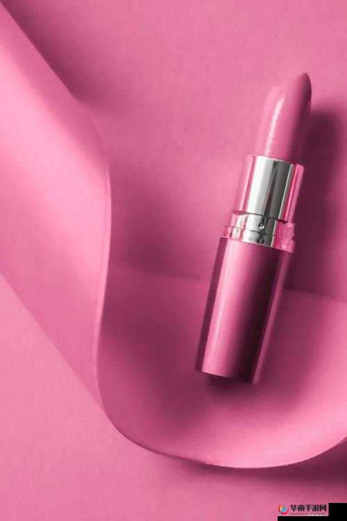 YSL 蜜桃色 NEO：打造迷人妆容必备