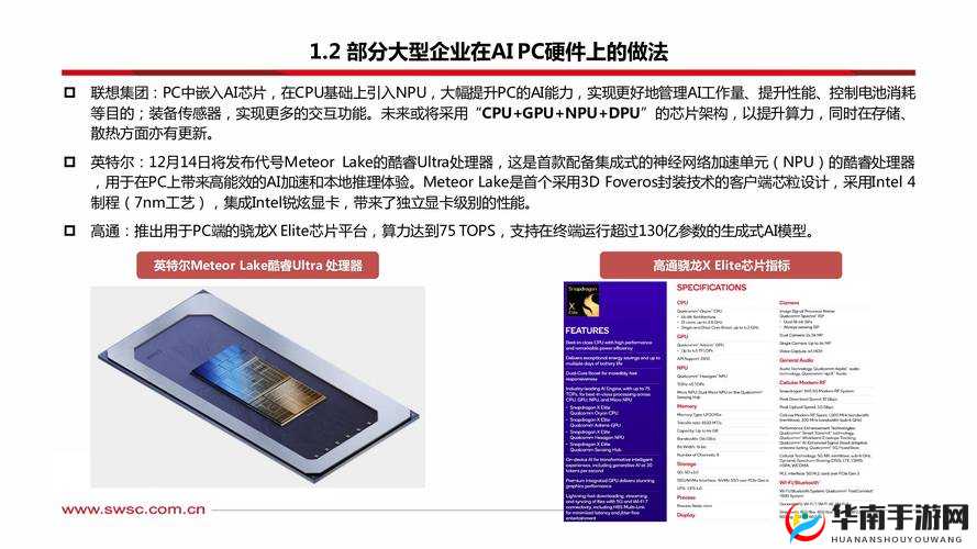 OVO 食肉家取报告 3 ：深度解析与洞察