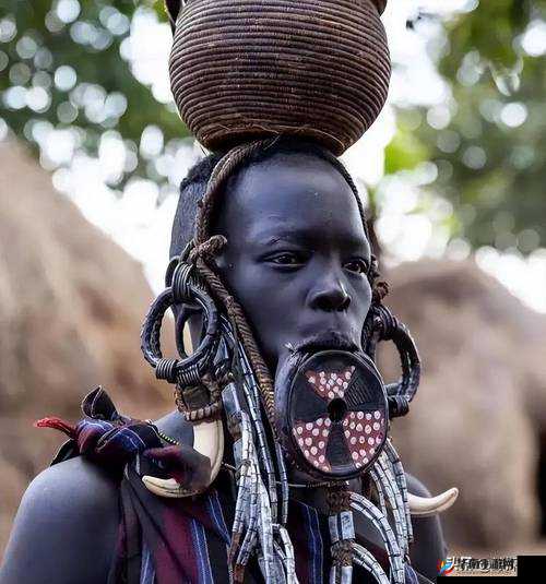 部落里失去丈夫的女人 1v1：她的生活与挣扎