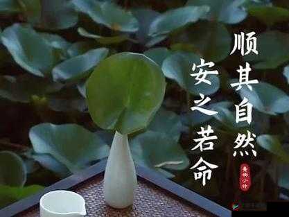 久久成熟德兴若自然矣：关于其的探讨