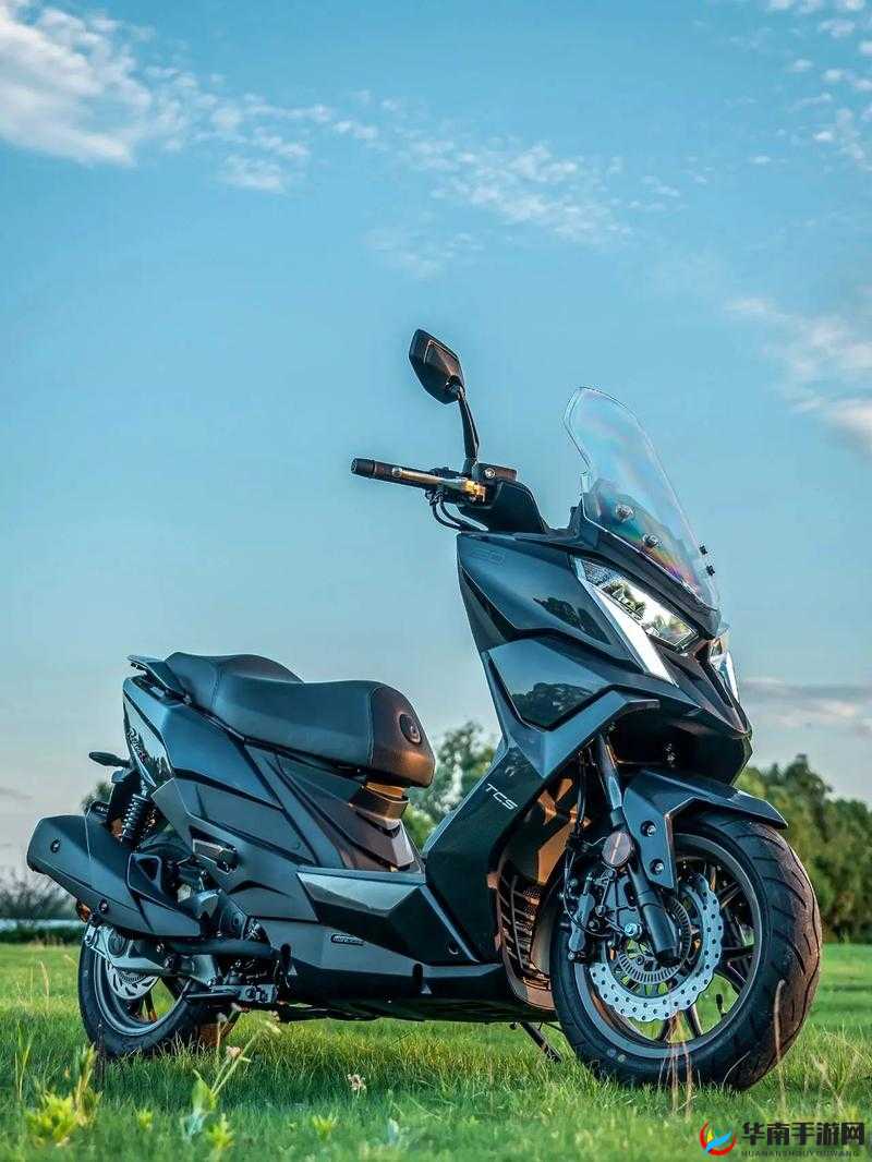 ttzzz 传送门 2024：探索未知的奇妙旅程