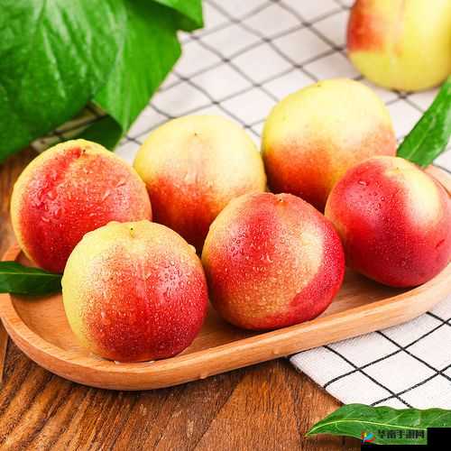 坤坤寒进桃子里数字世界中的一颗珍珠之奇旅