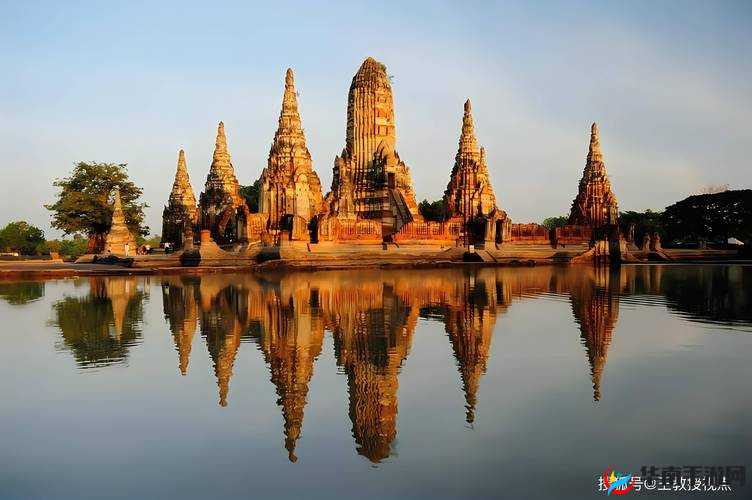 合法强肉：探索其独特魅力与内涵