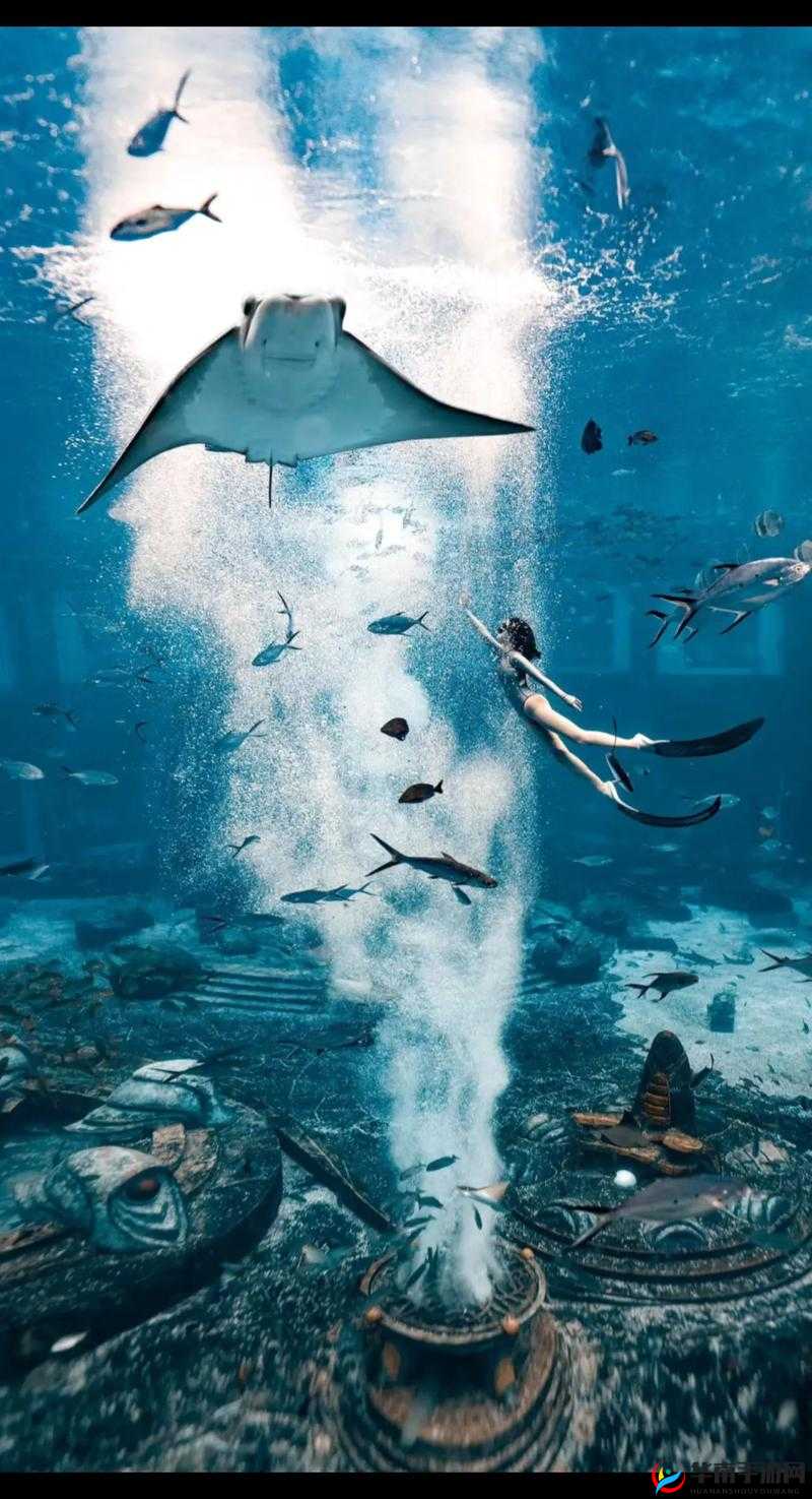 孟若羽污污污：探索未知的奇妙之旅