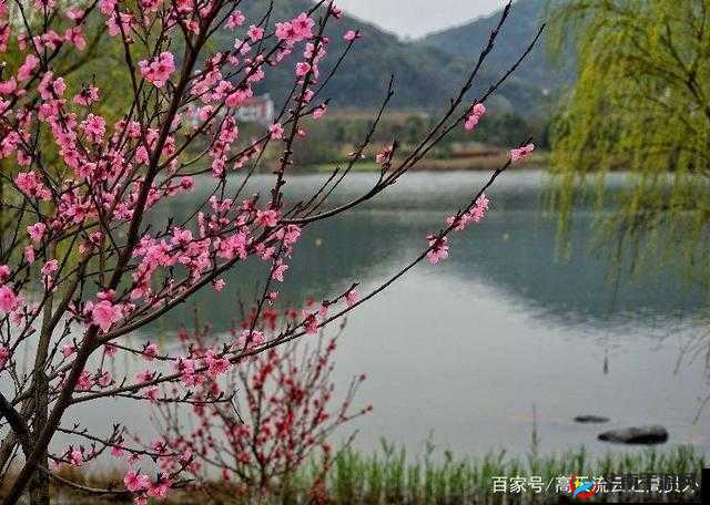 伊人春色之春景如画