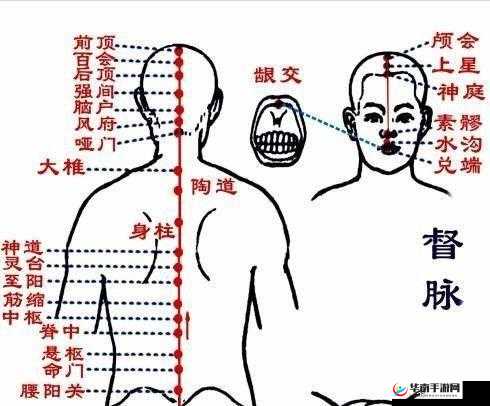 网易射雕江湖方寸灵台在哪？位置与获取方法解析