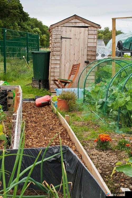 日本母亲农场特色农牧产品：天然与美味的集合