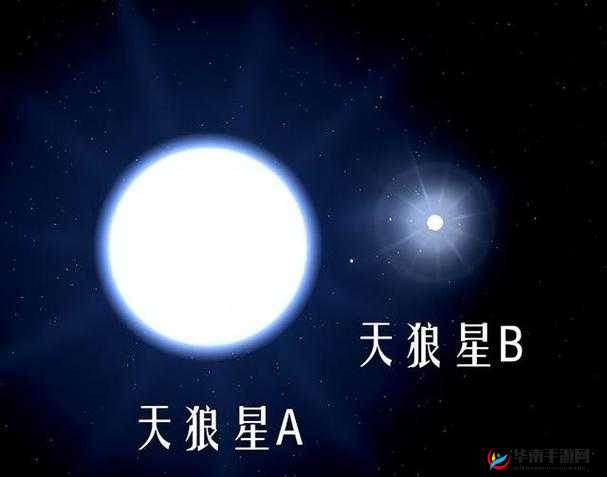 B 和 B 为什么不一样:探寻两者差异的根源