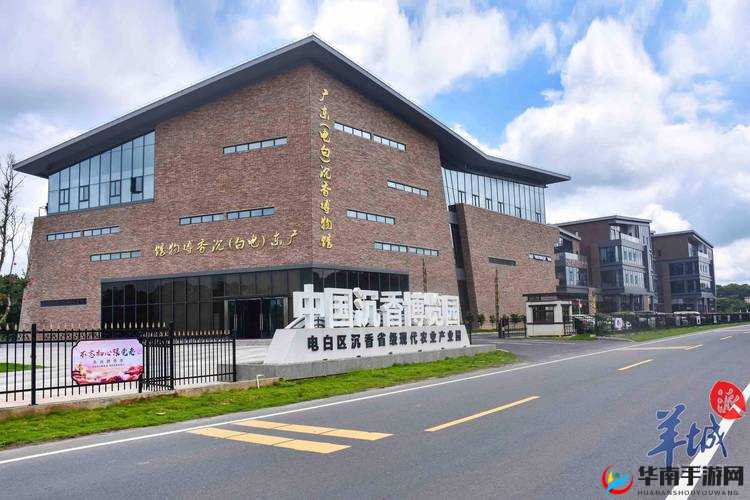 中国沉香一线产区：品味沉香文化的绝佳之地