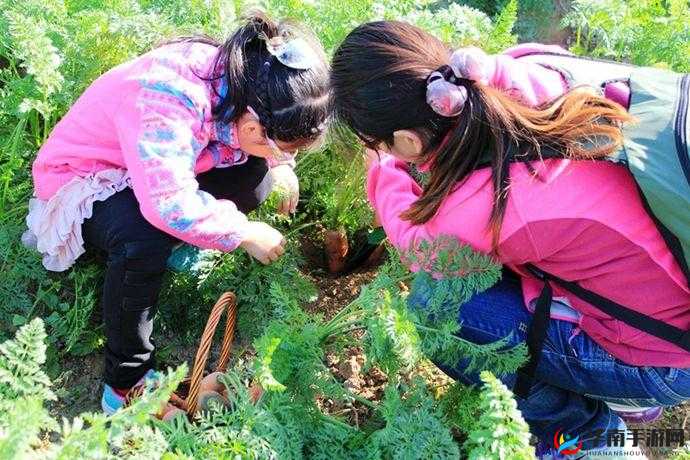 女孩子怎么体验拔萝卜的感觉：实践出真知