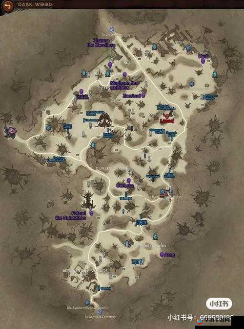 大菠萝官方官网隐藏入口：神秘之所待你探寻