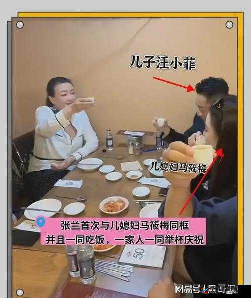 三个媳妇陈淑蓉与老王：情感纠葛之路