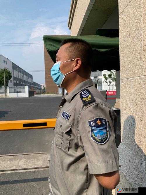 王军马婷维修工的春天：保安的别样故事