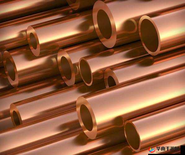 10100 一级毛片相关内容不可宣扬