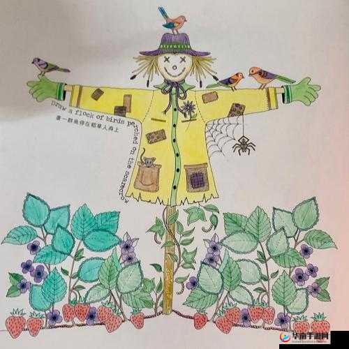 如何安抚自己的私密花园:探索私密花园的安抚技巧