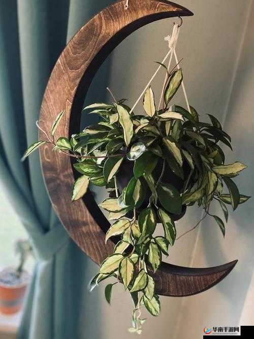 幼儿 Hiphop 仙踪林台湾普通话：独特的幼儿音乐风格