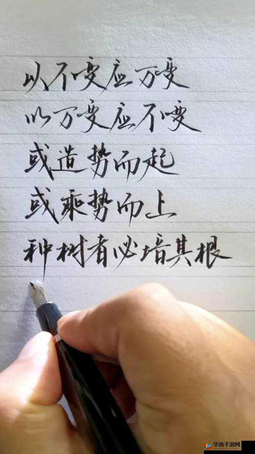 大船沉稳应对小船摇曳:以不变应万变