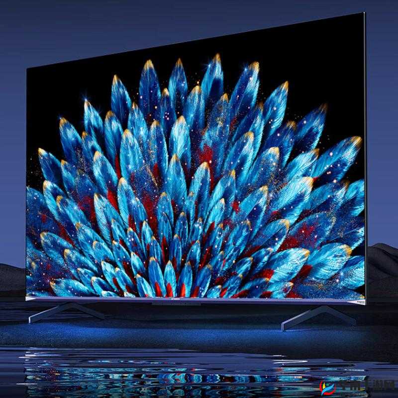 正片 65a33:精彩内容呈现