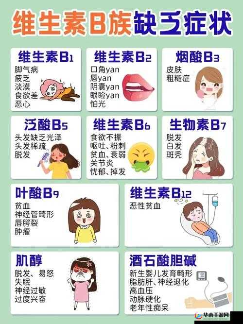 B 与 B 的不同之处：深度剖析与对比