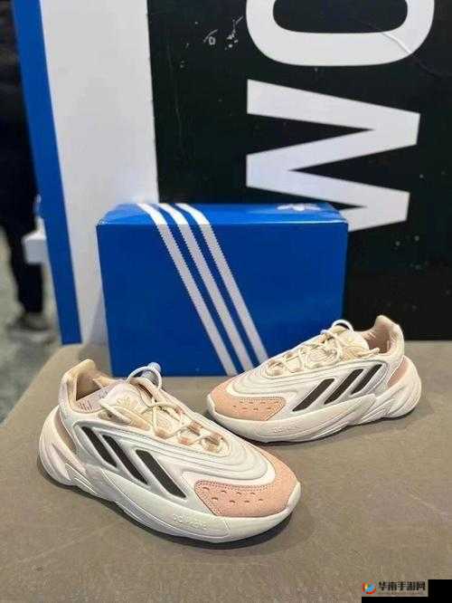 三叶草 gy6983 的独特魅力