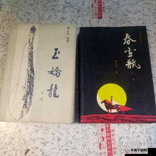 玉娇龙续集春雪瓶 txt 免费阅读：续写江湖恩怨