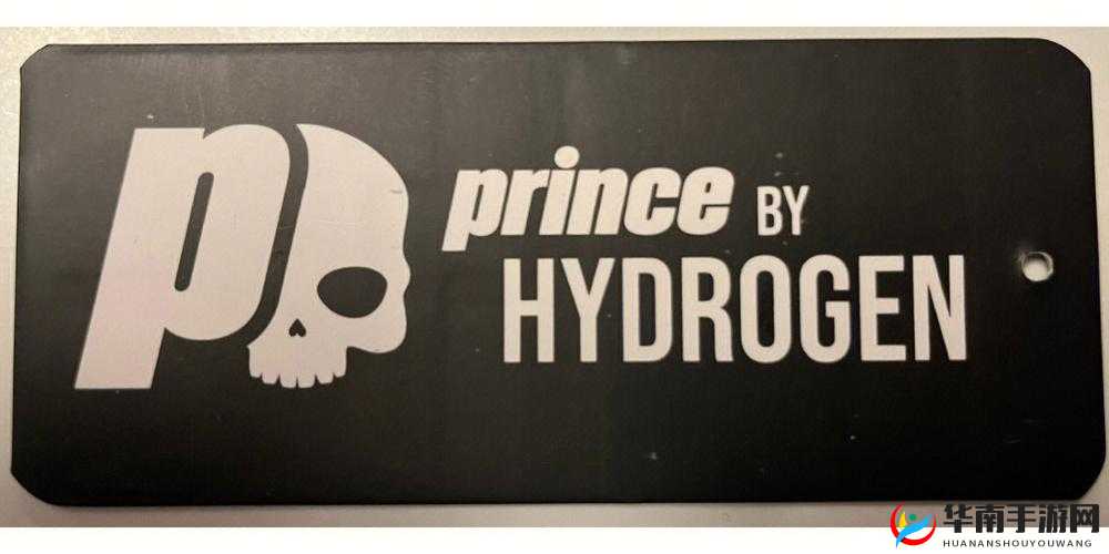 HYDROGEN 与 PRINCE 的奇妙故事