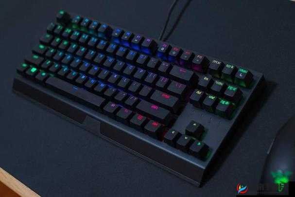 黑寡妇 v3 无线多少入手合适及相关建议