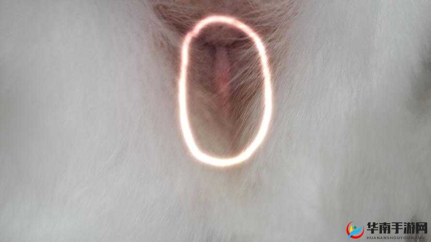 红肿肛门一张一缩的奇特景象