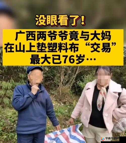 70 岁老人森林交易 10 元一次:背后的真相