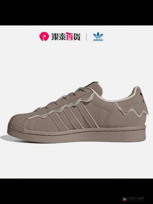 三叶草 gw4441 怎么样：品质与性能解析