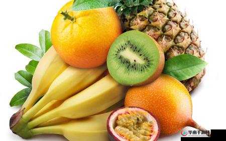 香蕉樱桃水蜜桃猕猴桃菠萝视频：水果的缤纷世界