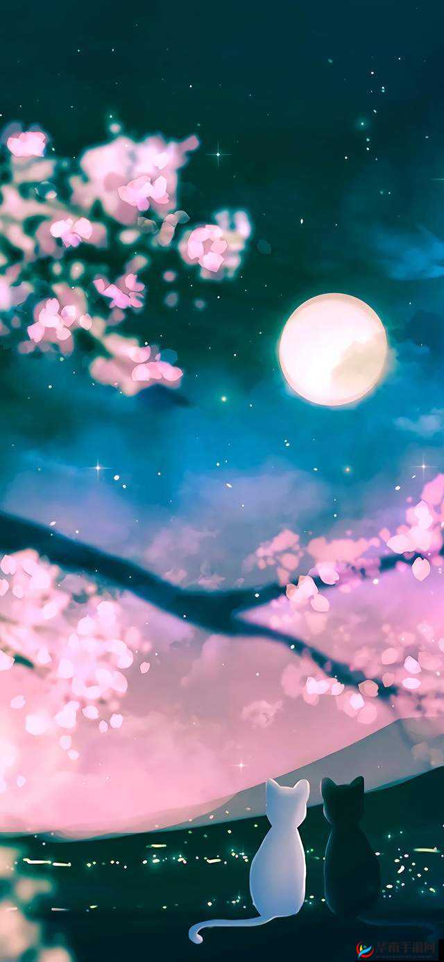 星空风月：如梦如幻的浪漫世界