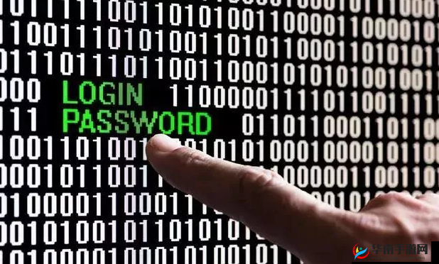 VIDEOCODECWMVIDEODECODER 揭秘：背后的技术密码