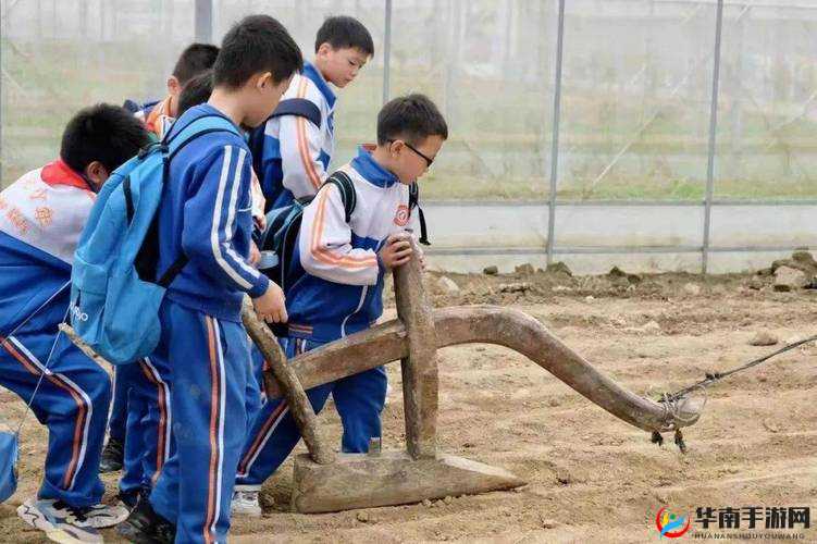 火箭少女拔萝卜免费：趣味欢乐之旅