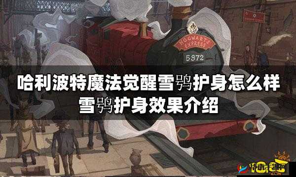 哈利波特魔法觉醒：雪鸮护身咒术深度解析与效果揭秘
