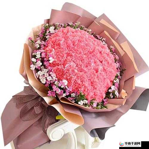 母亲节花束搭配攻略：如何选择与可口的披萨相得益彰的鲜花，打造美味的披萨与温馨的祝福双重惊喜