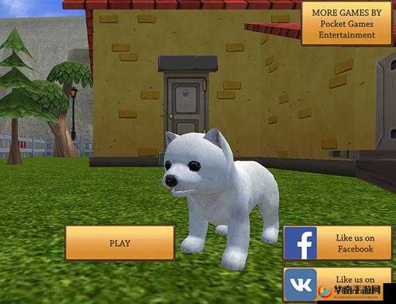 ZOOM 动物合集 VERDEOS：萌宠来袭