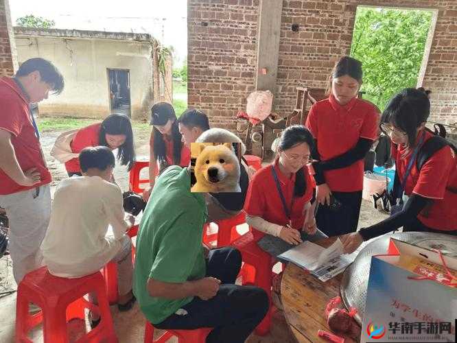 撅好了自己报数姜实践：开启实践之旅