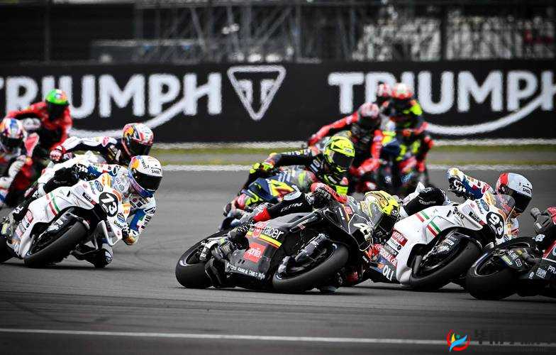 2024b 站怎么免费入口：快速获取方法