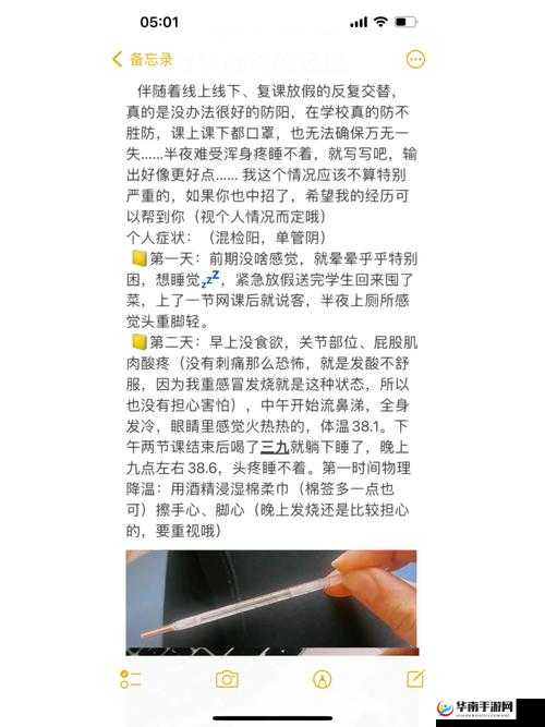 一支笔如何 C 哭自己:探索独特体验