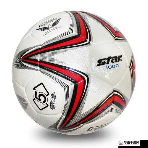 巴基斯坦 BBBBBBSB 相关内容